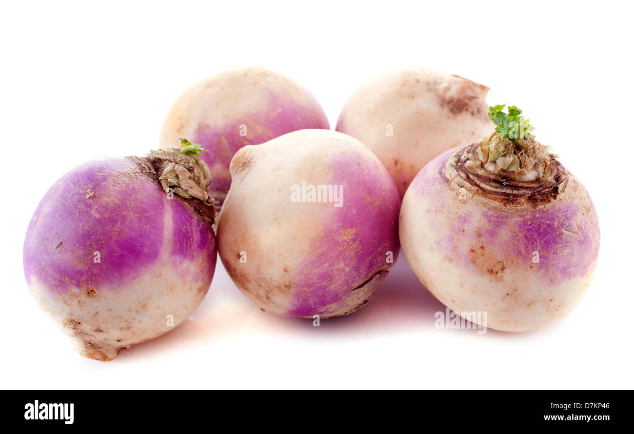 freshly harvested spring turnips (Brassica rapa) on a white background