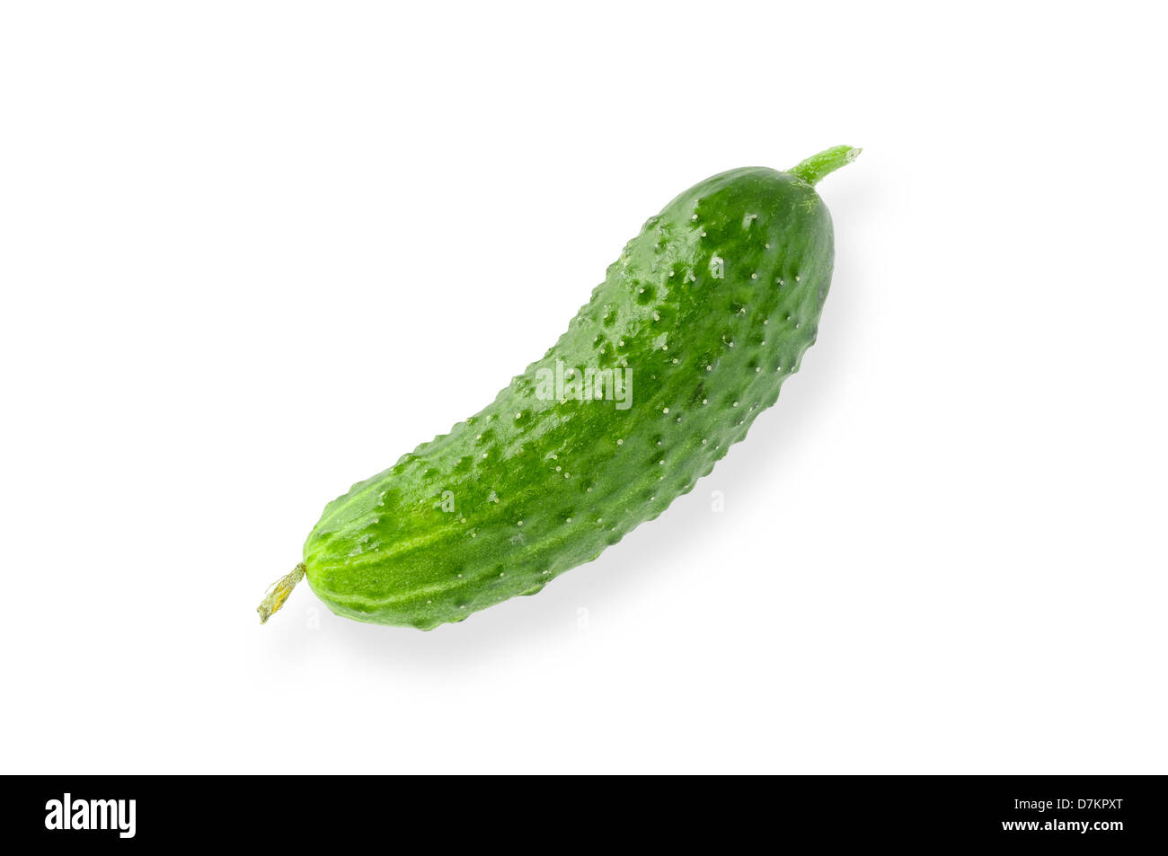 A nice gherkin on white background. (clipping path included only in the original image) Stock Photo