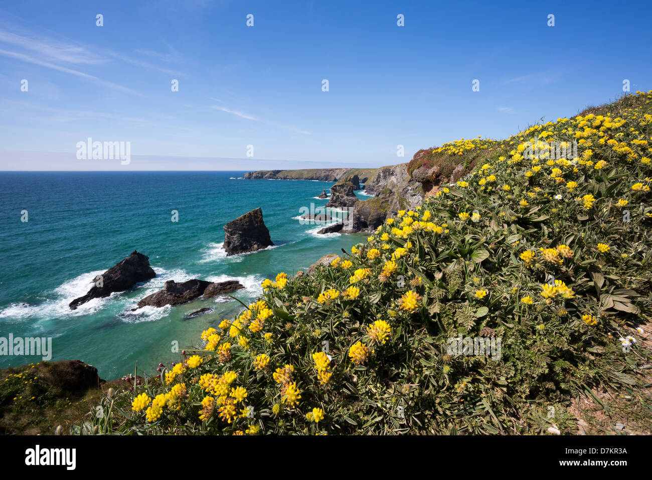 Bedruthan Steps Cornwall Uk in spring. Stock Photo