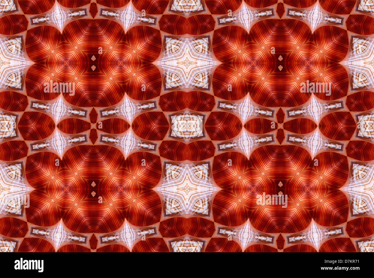 Repeating pattern made from image of Foxhead / Horse Conch seashell (Fasciolaria trapezium Linne) Stock Photo