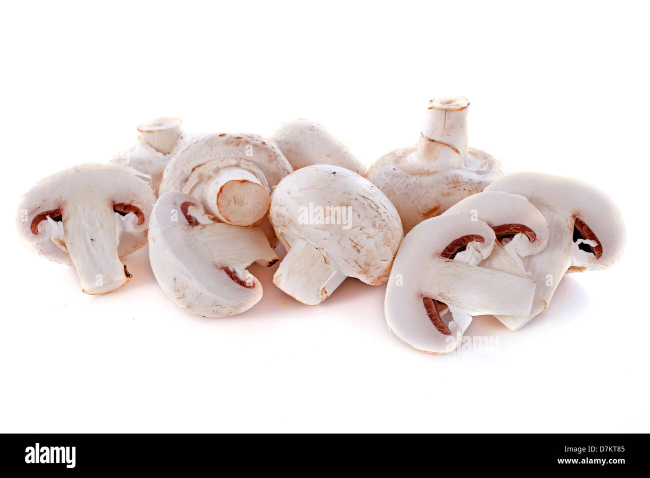 button mushrooms in front of white background Stock Photo