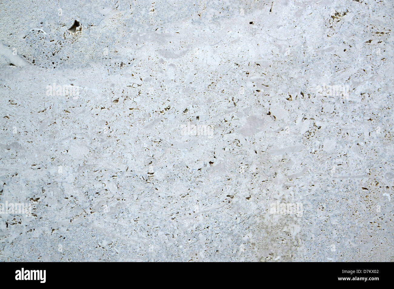 Shell limestone hi-res stock photography and images - Alamy