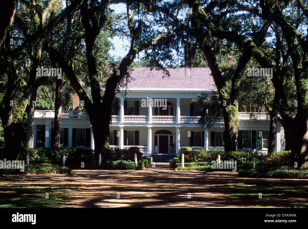 Elk2832971 Louisiana, St Francisville, Rosedown Plantation State