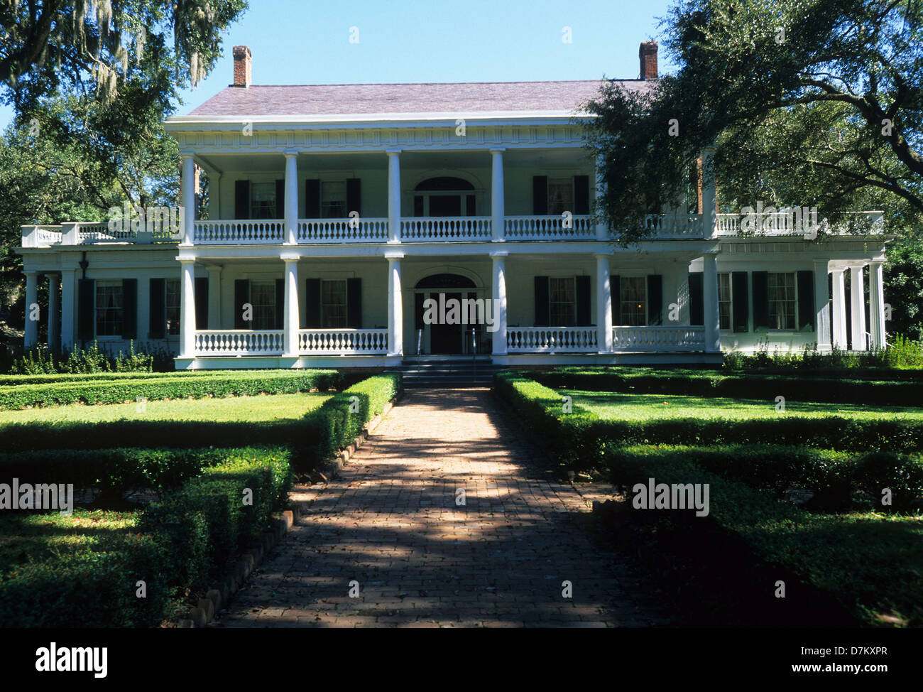 Elk2832986 Louisiana, St Francisville, Rosedown Plantation State