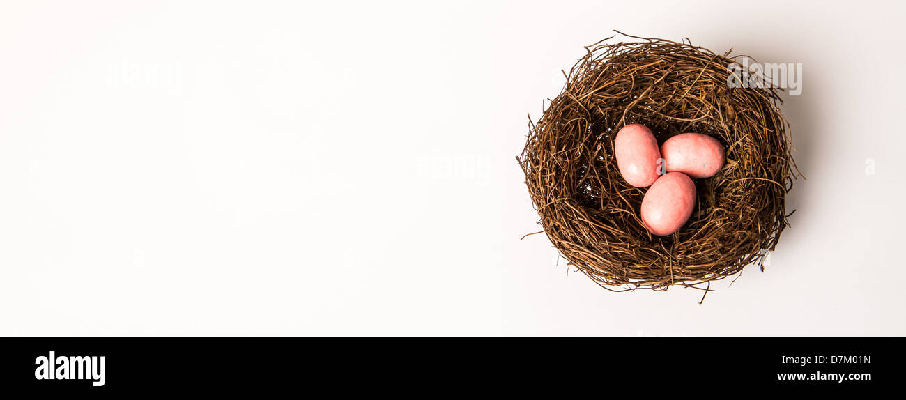 Pink bird eggs in a bird's nest isolated on white Stock Photo - Alamy
