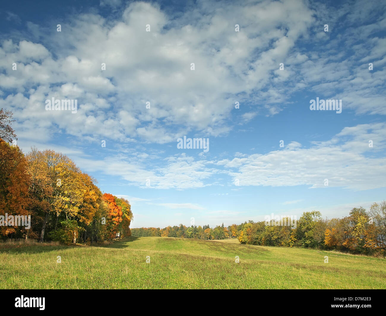 Autumn landscape with colorful trees and green meadow Stock Photo - Alamy