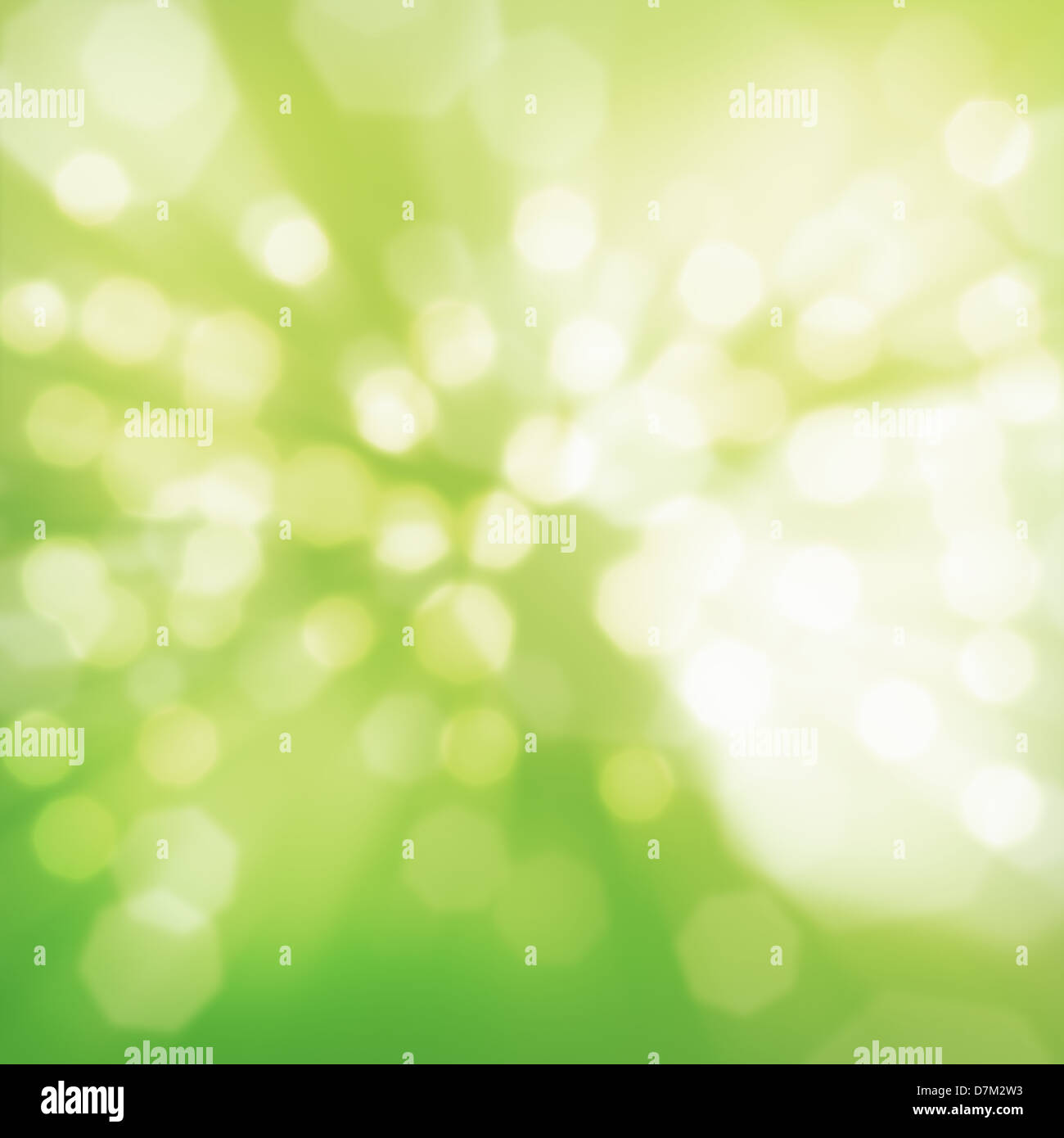 Abstract green lights in spring day Stock Photo Alamy