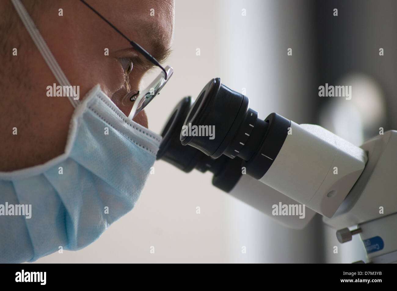 Scientists looking Into microscope Stock Photo