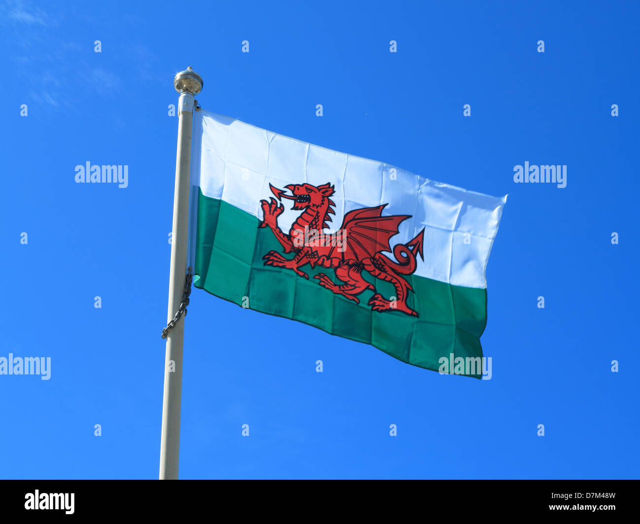 Welsh flag Stock Photo