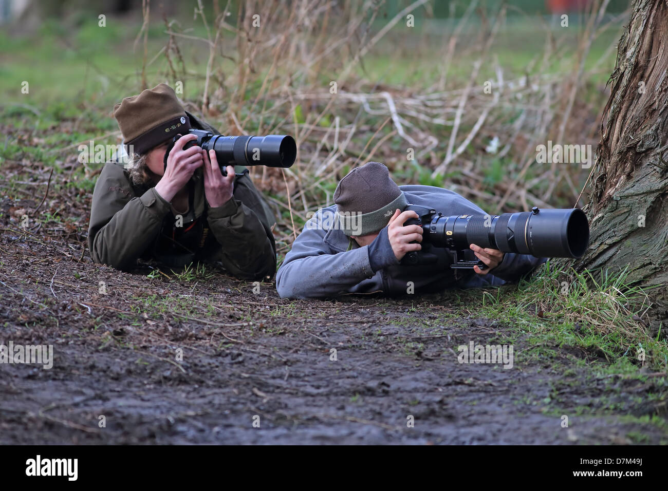Wildlife photographer uk hi-res stock photography and images - Alamy