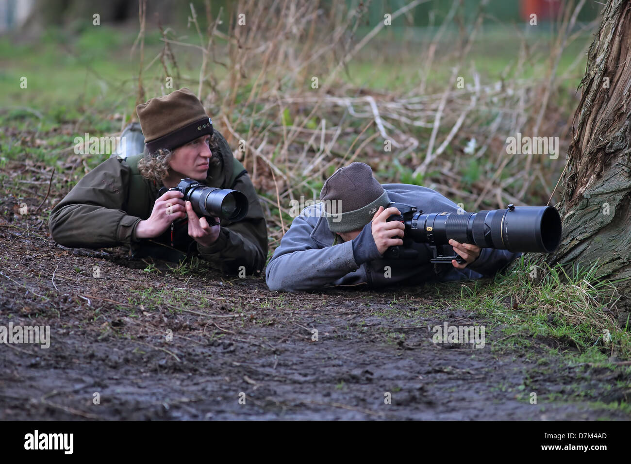 Wildlife photographers uk hi-res stock photography and images - Alamy