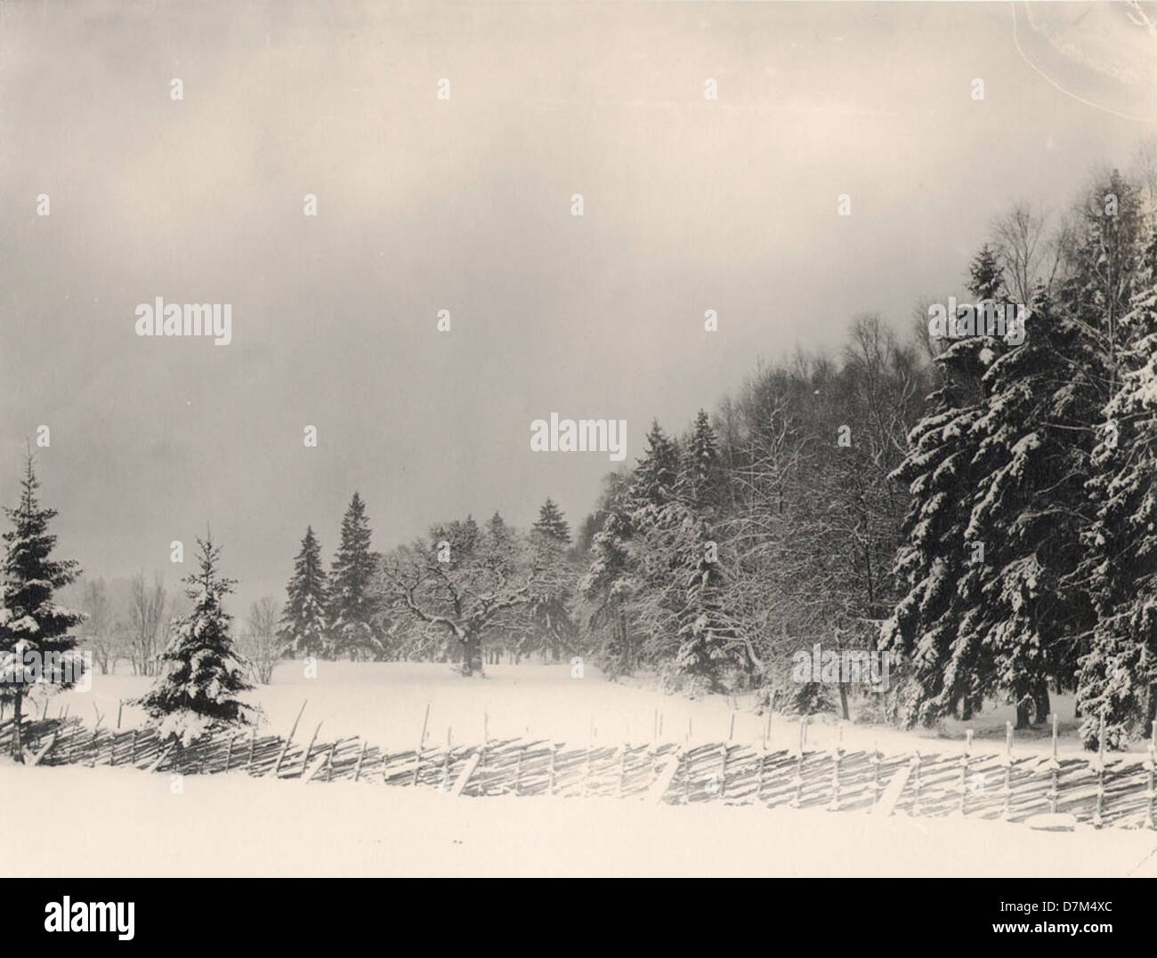 This winter scene in Stockholm, Sweden, captures the serene beauty of ...