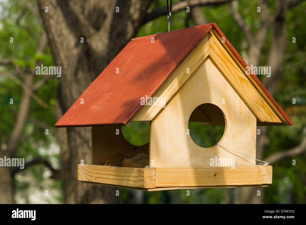 Nice bird feeder hanging on a tree Stock Photo Alamy
