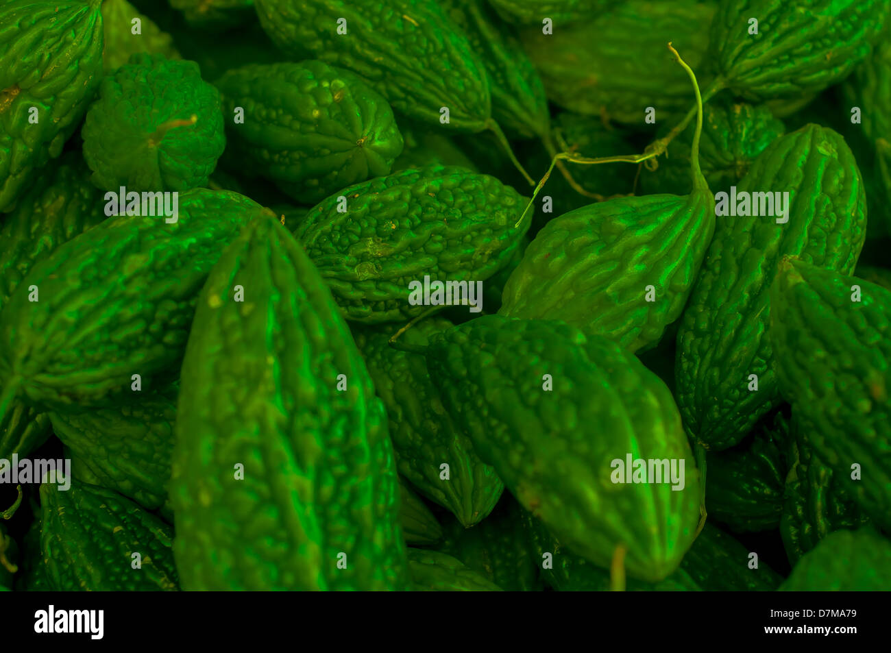 Fresh green raw bitter gourd Stock Photo Alamy