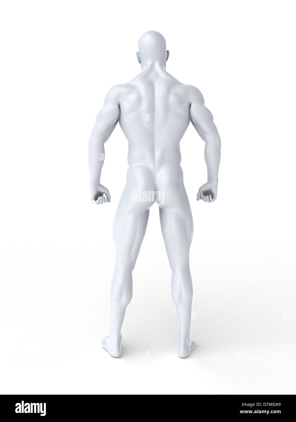 Male Bodybuilder Rear Full High Resolution Stock Photography and Images ...