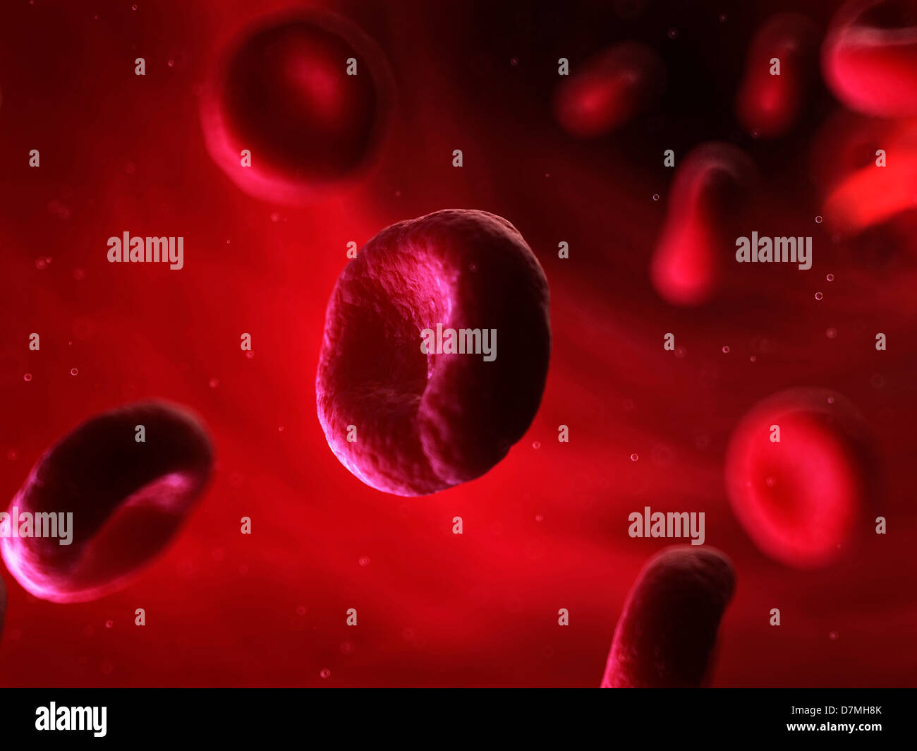 Blood stream, artwork Stock Photo