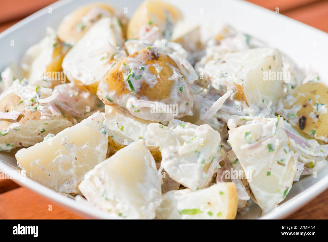 Potato Salad with shallots. Typical BBQ side dish. Stock Photo