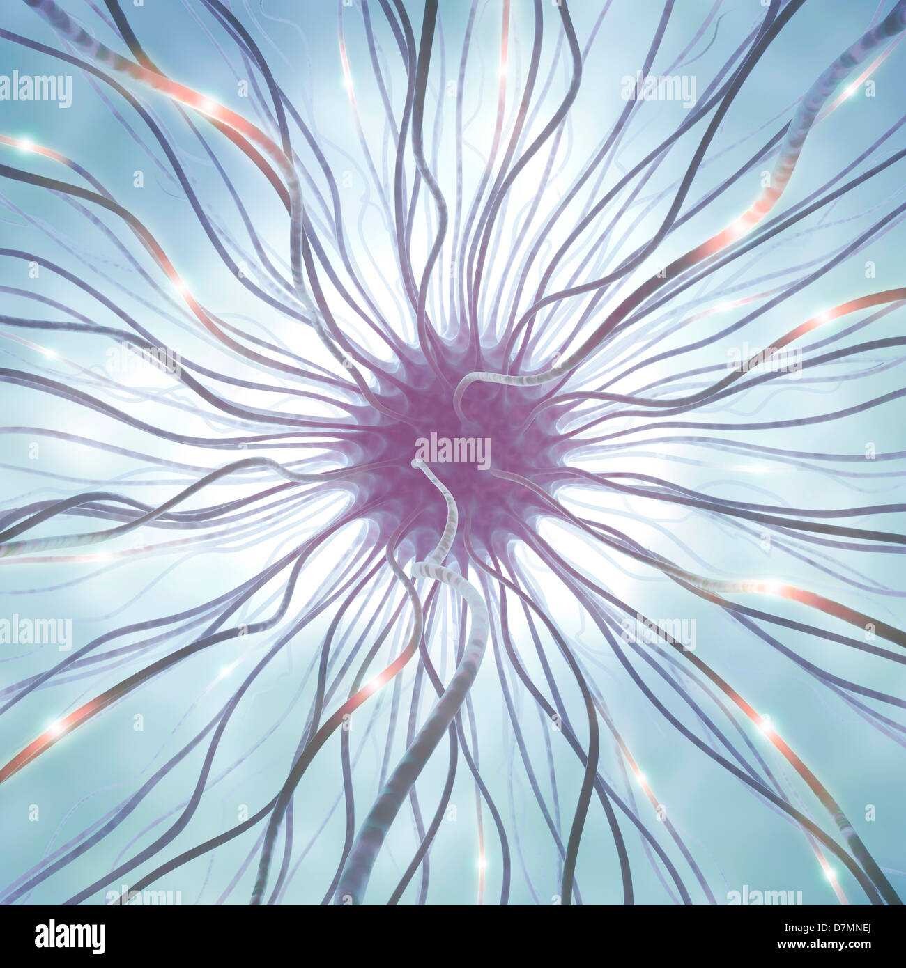 Nerve cell, artwork Stock Photo