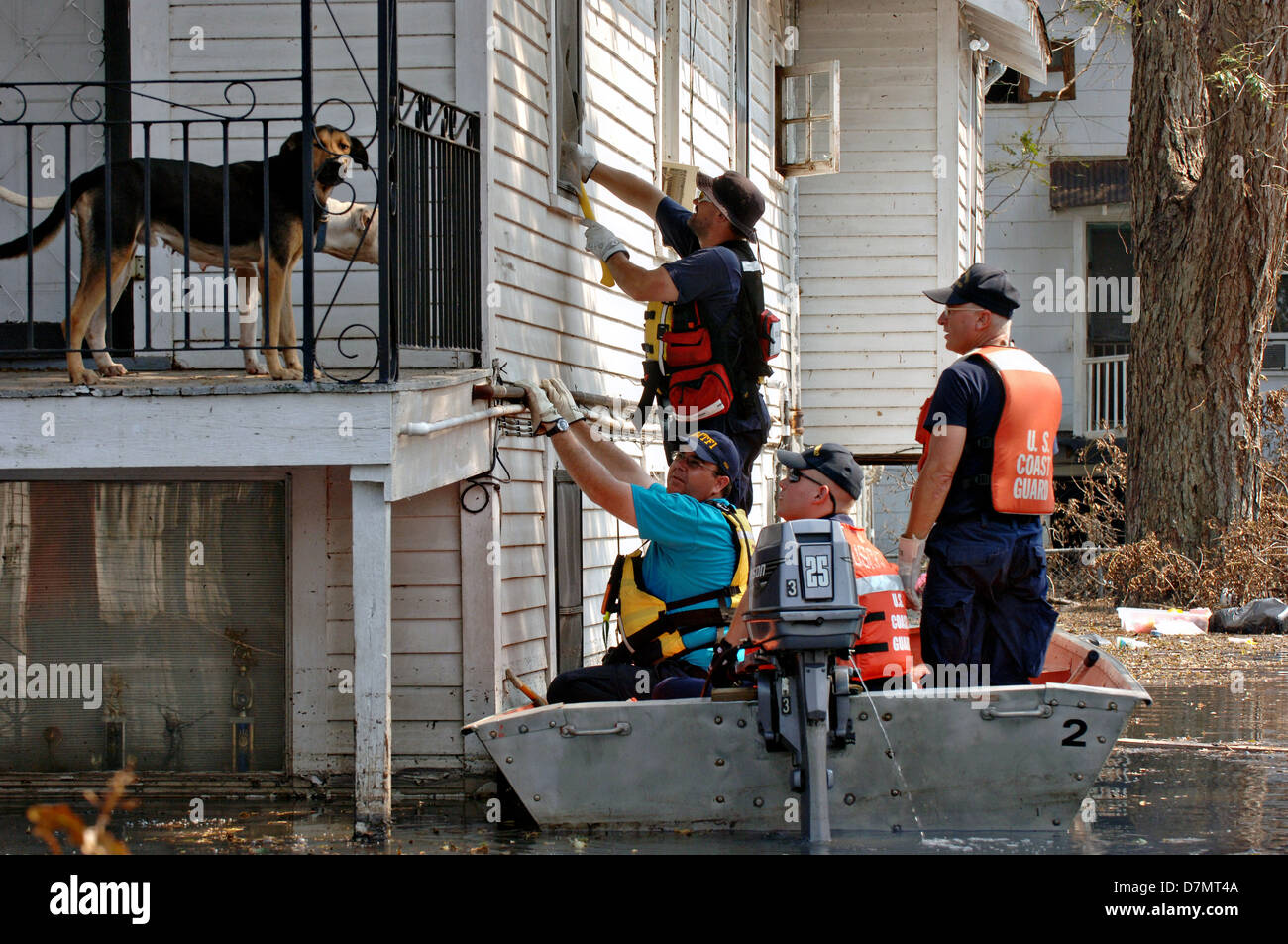 FEMA urban search and rescue teams search homes for survivors in the aftermath of Hurricane Katrina September 5, 2005 in New Orleans, LA. Stock Photo