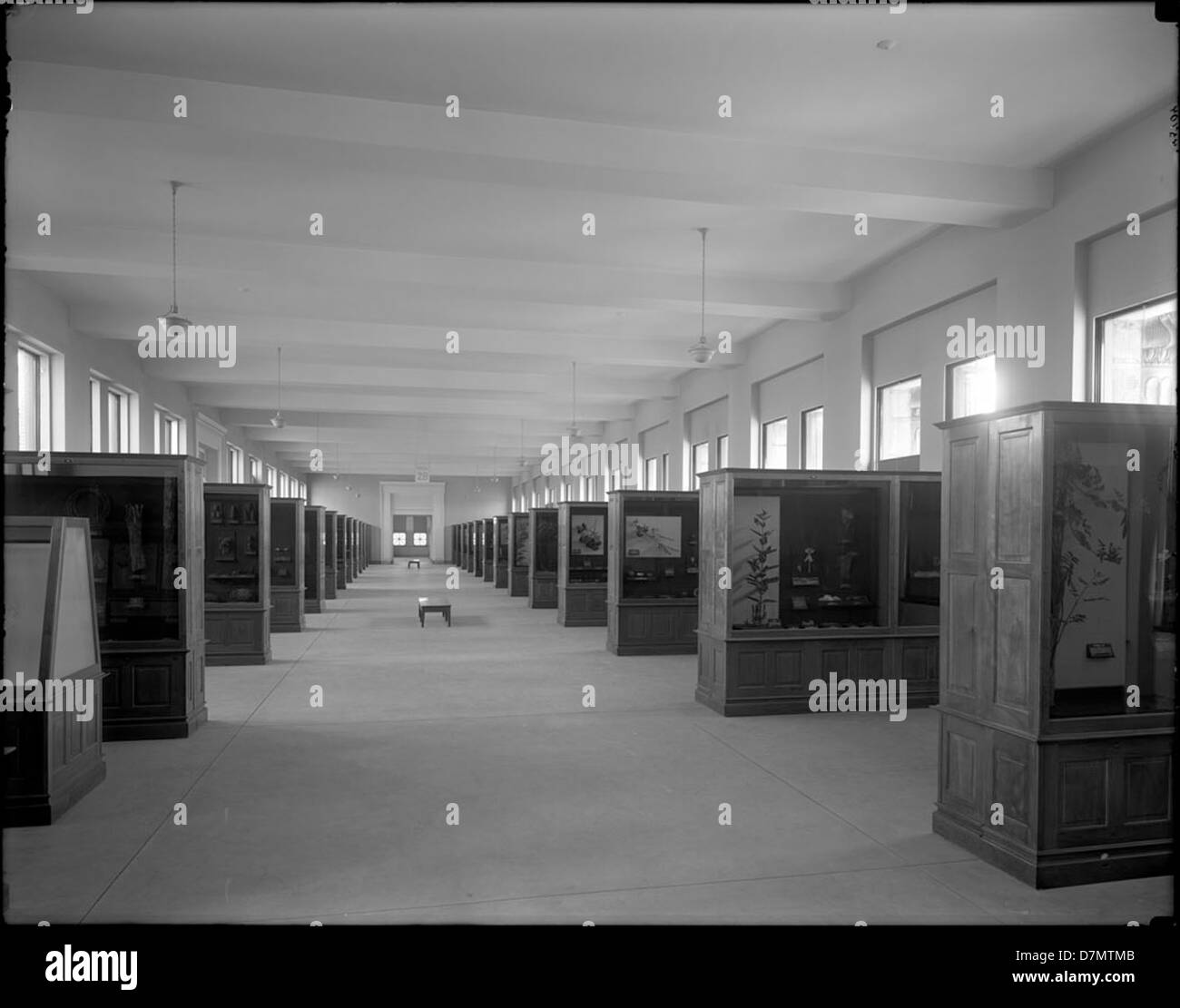 This overview discusses economic botany, with a focus on how plants are ...