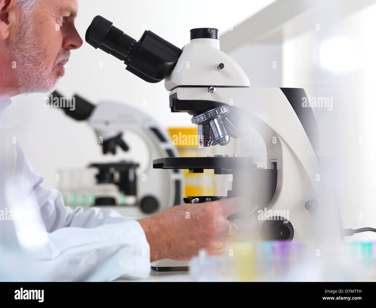 Scientist using a light microscope Stock Photo