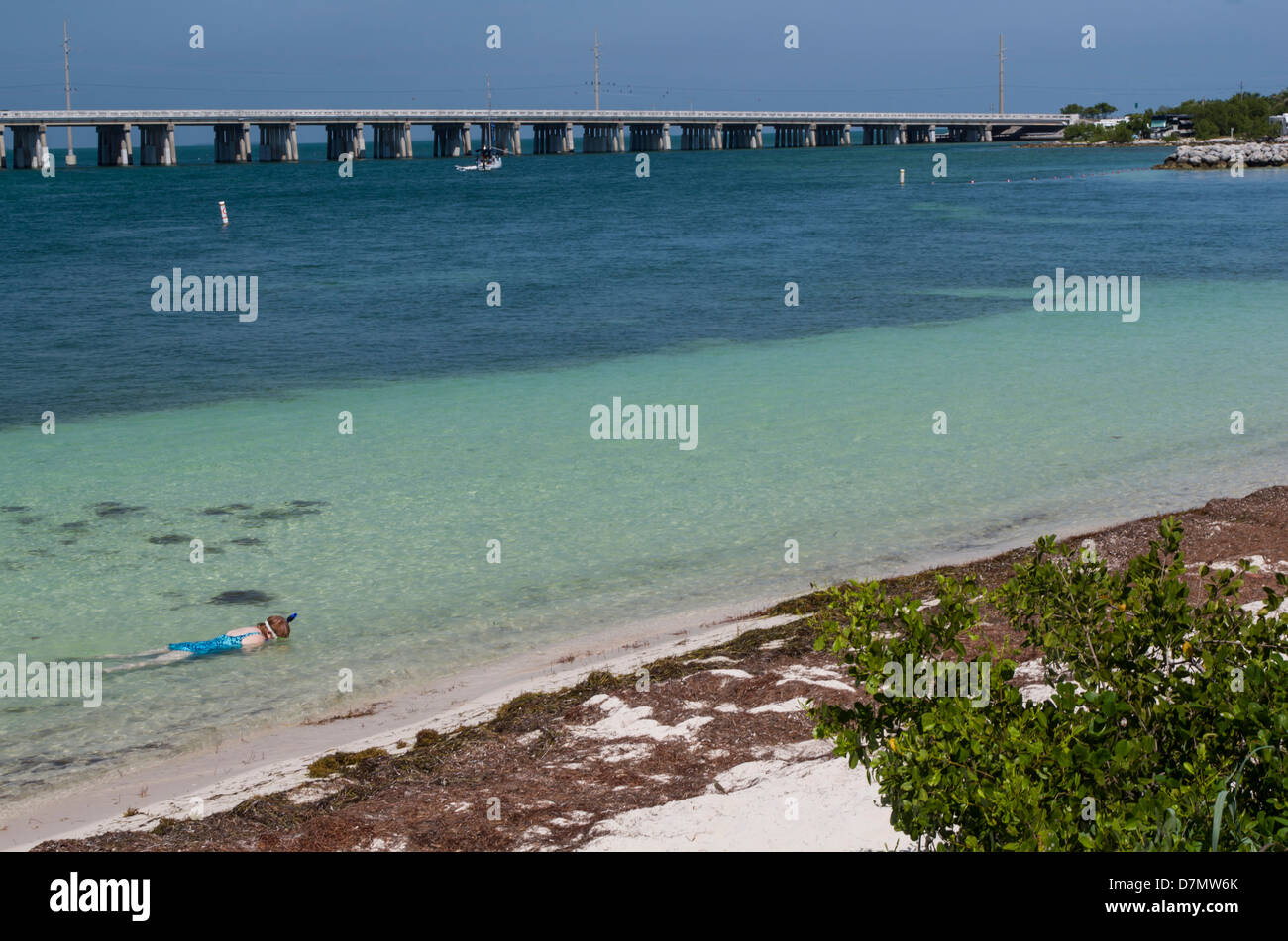 USA, Florida, Bahia Honda State Park. Snorkeler at Caluso Beach and the US-1, Overseas Highway. Stock Photo