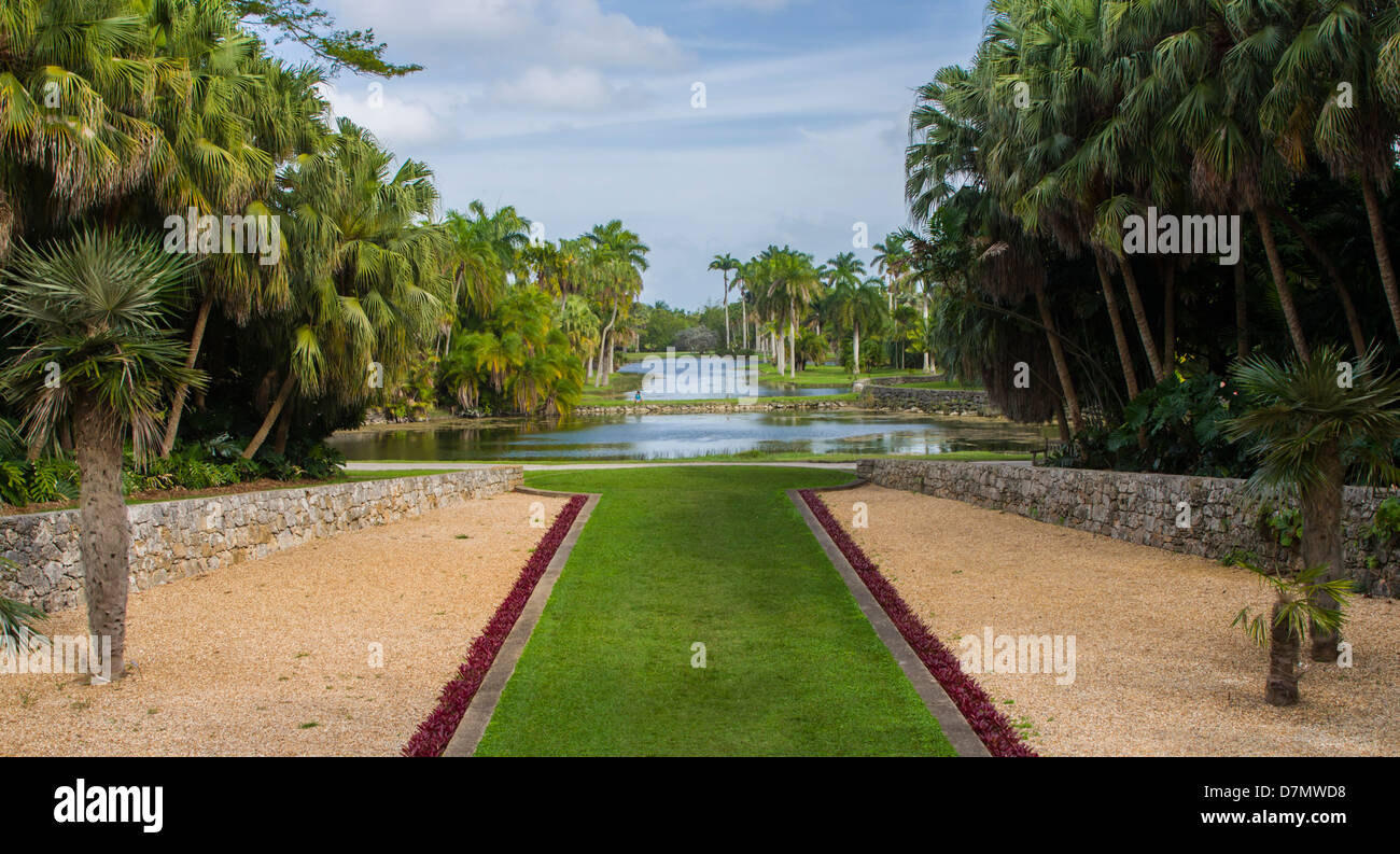 USA, Florida, Coral Gables. View at the Bailey Palm Glade, Fairchild Tropical Botanic Garden. Stock Photo