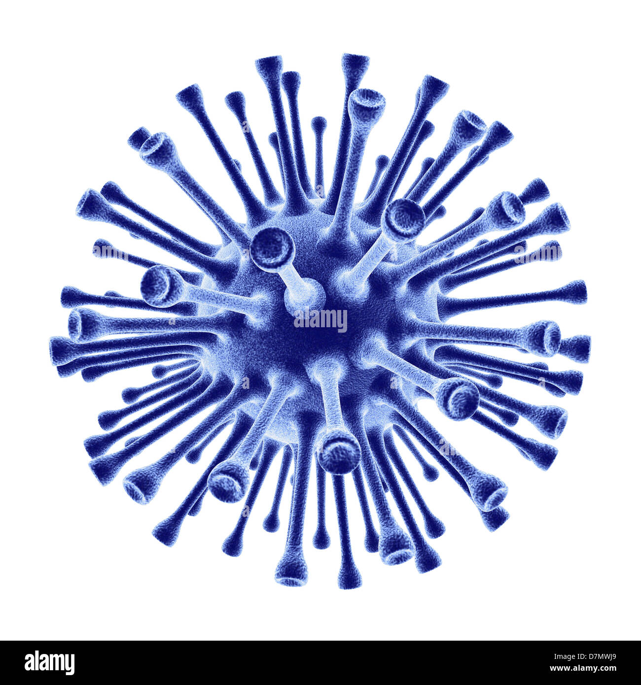 H1N1 flu virus particle, artwork Stock Photo