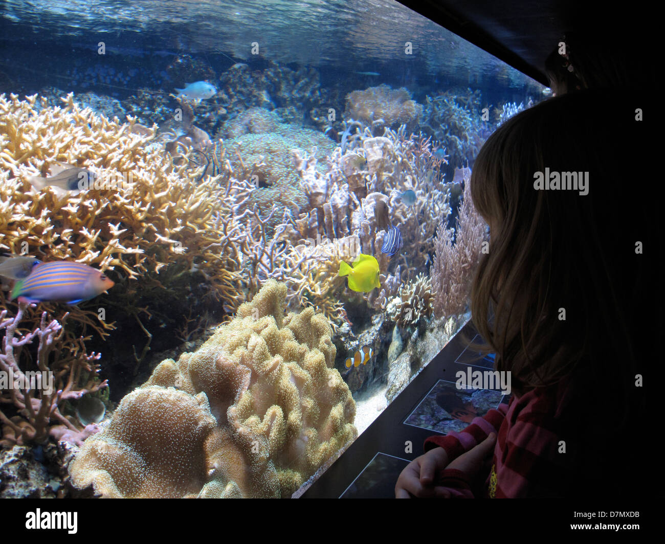 Habitats and ecosystems hires stock photography and images Alamy