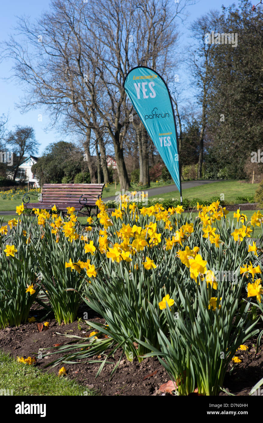 The start line of Barrow Parkrun in Barrow Public Park Stock Photo Alamy
