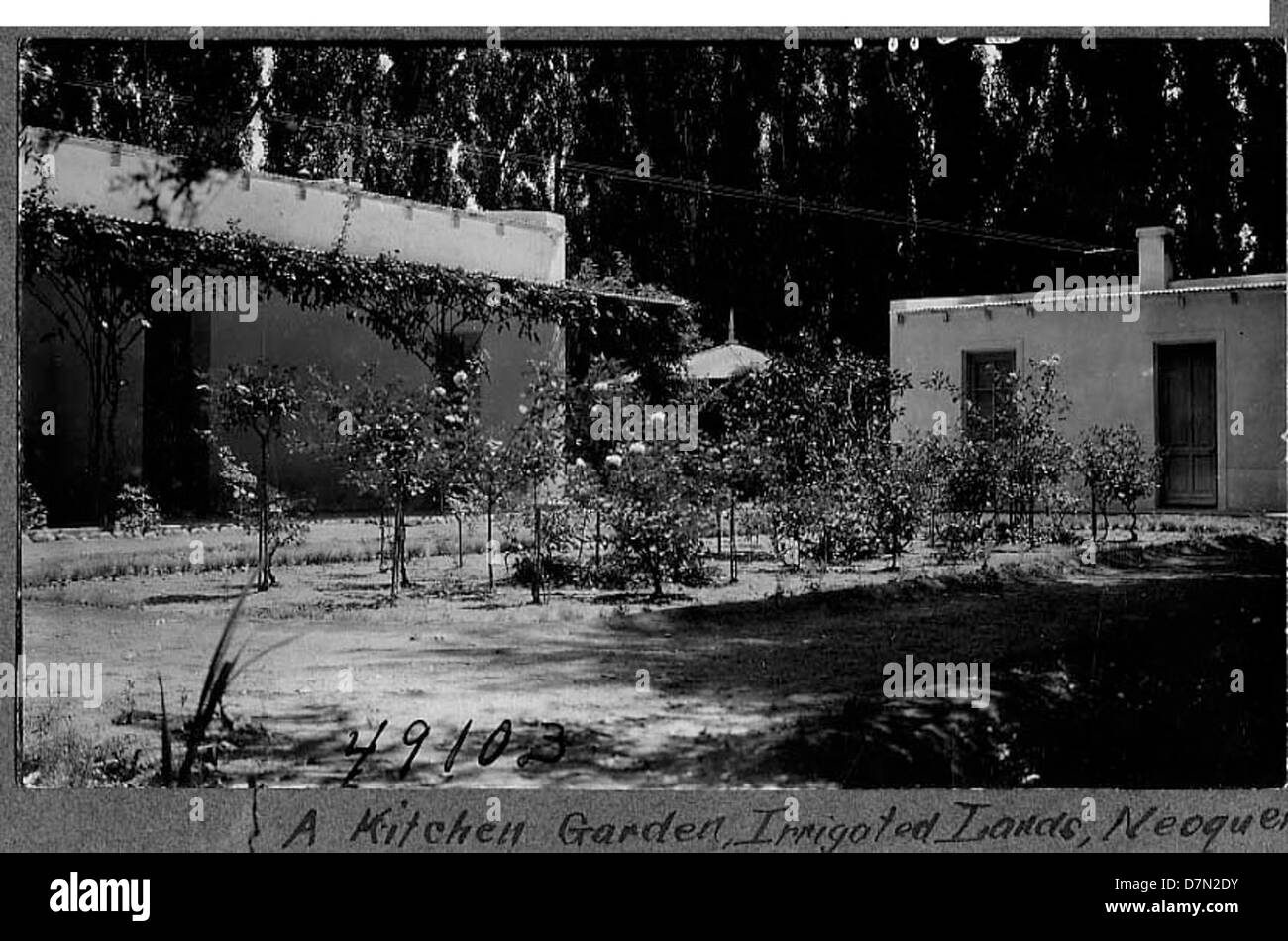 This photograph shows the kitchen garden during the Elmer Riggs ...