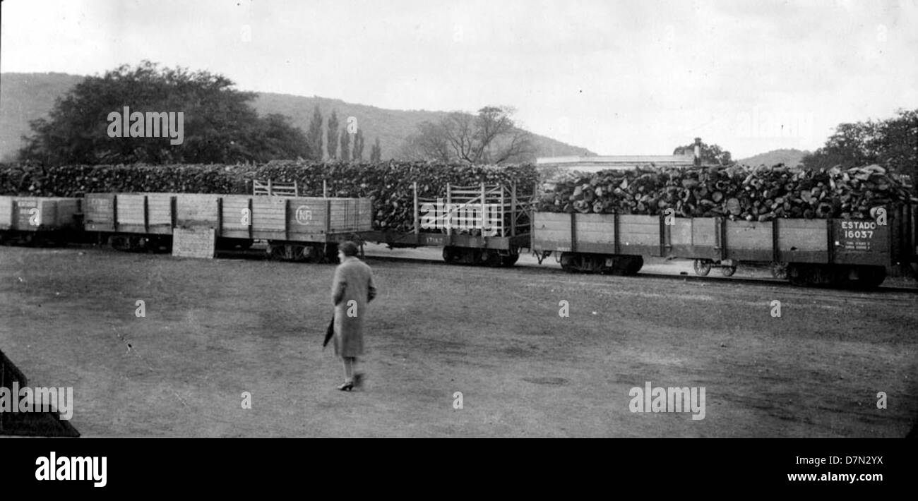 Elmer Riggs and Felipe Mendez collect fossils in South America as part ...