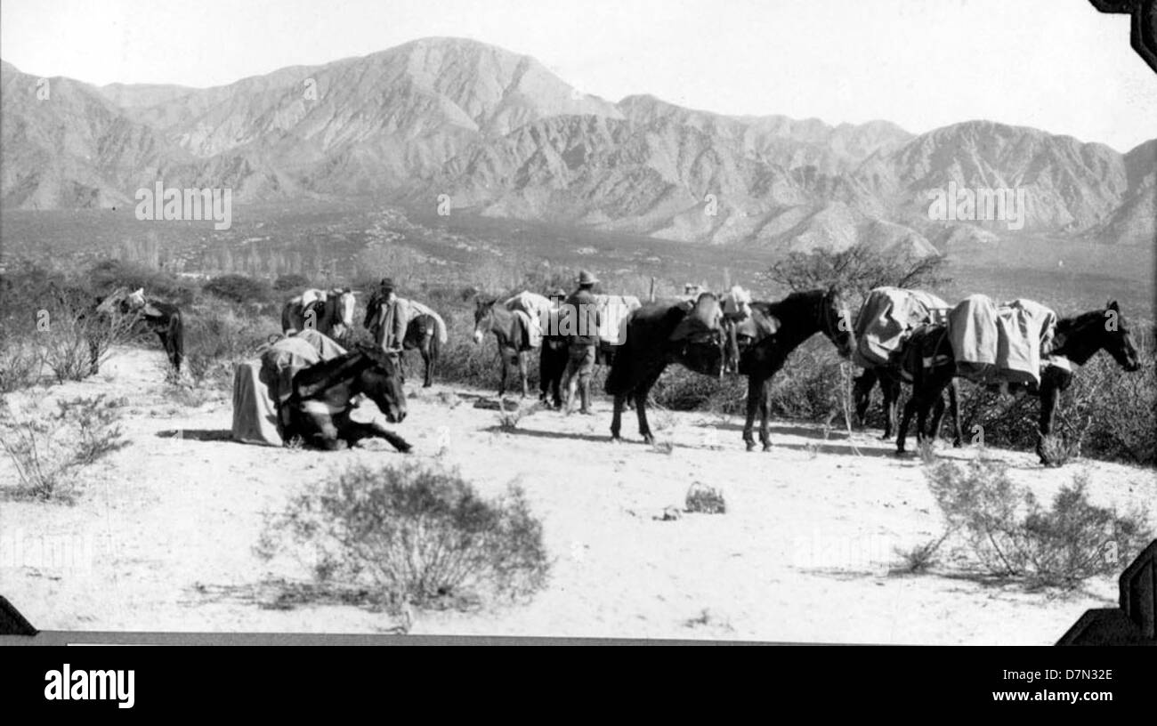 An image from the Marshall Field Paleontological Expedition, showing ...