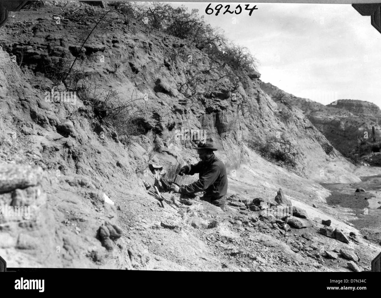 A photograph from the Marshall Field Paleontological Expedition ...