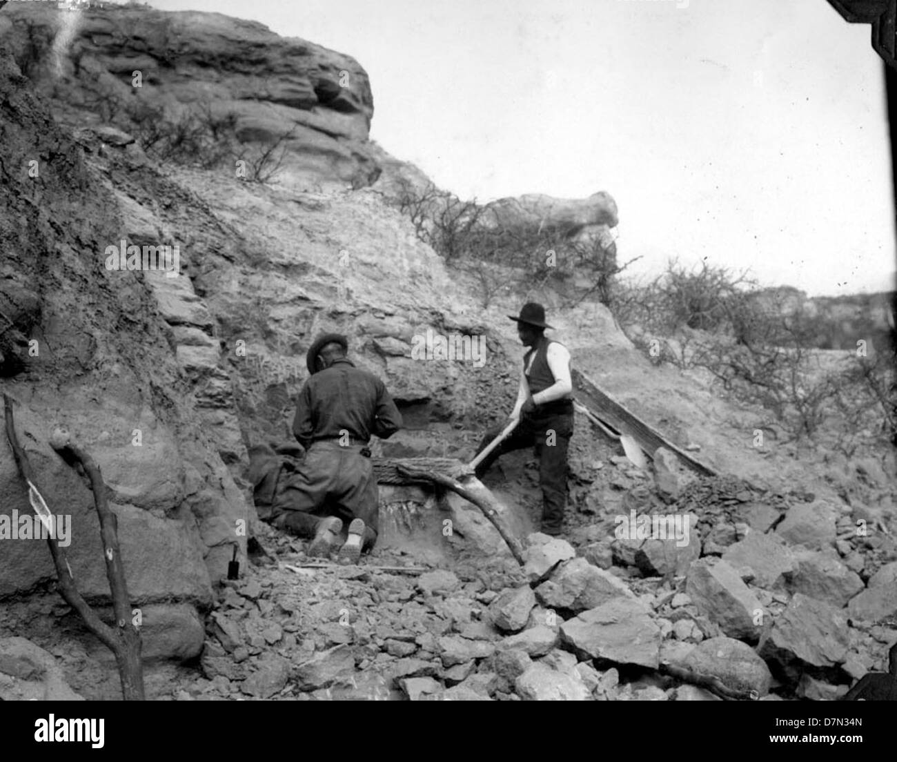 The South American Paleontological Expedition, led by Elmer Riggs ...