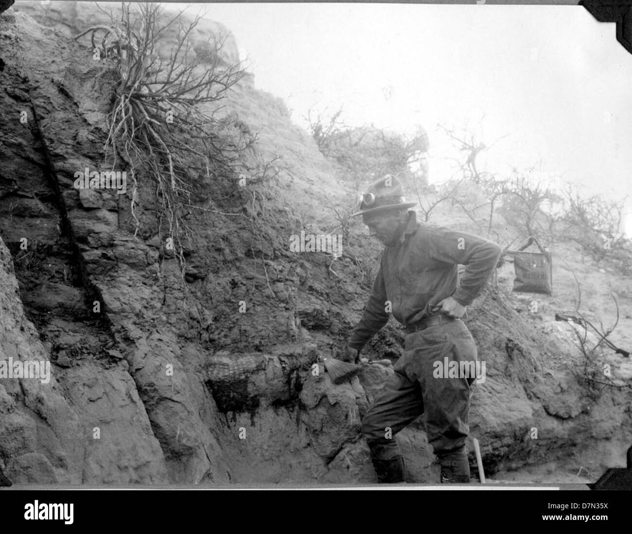 Elmer Riggs, Felipe Mendez, and the Marshall Field Paleontological ...