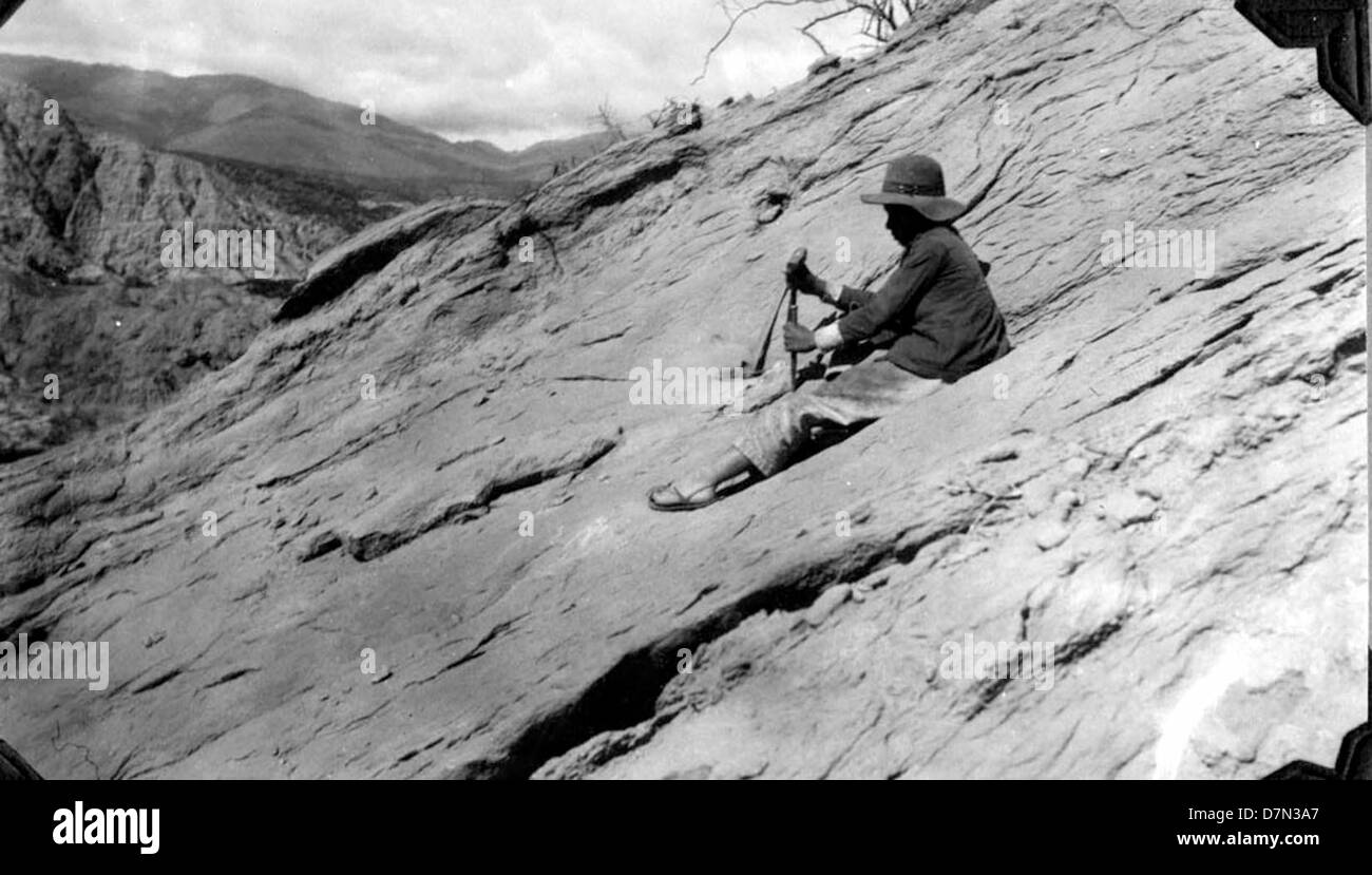 A photograph showing a camp boy discovering a fossil during the ...