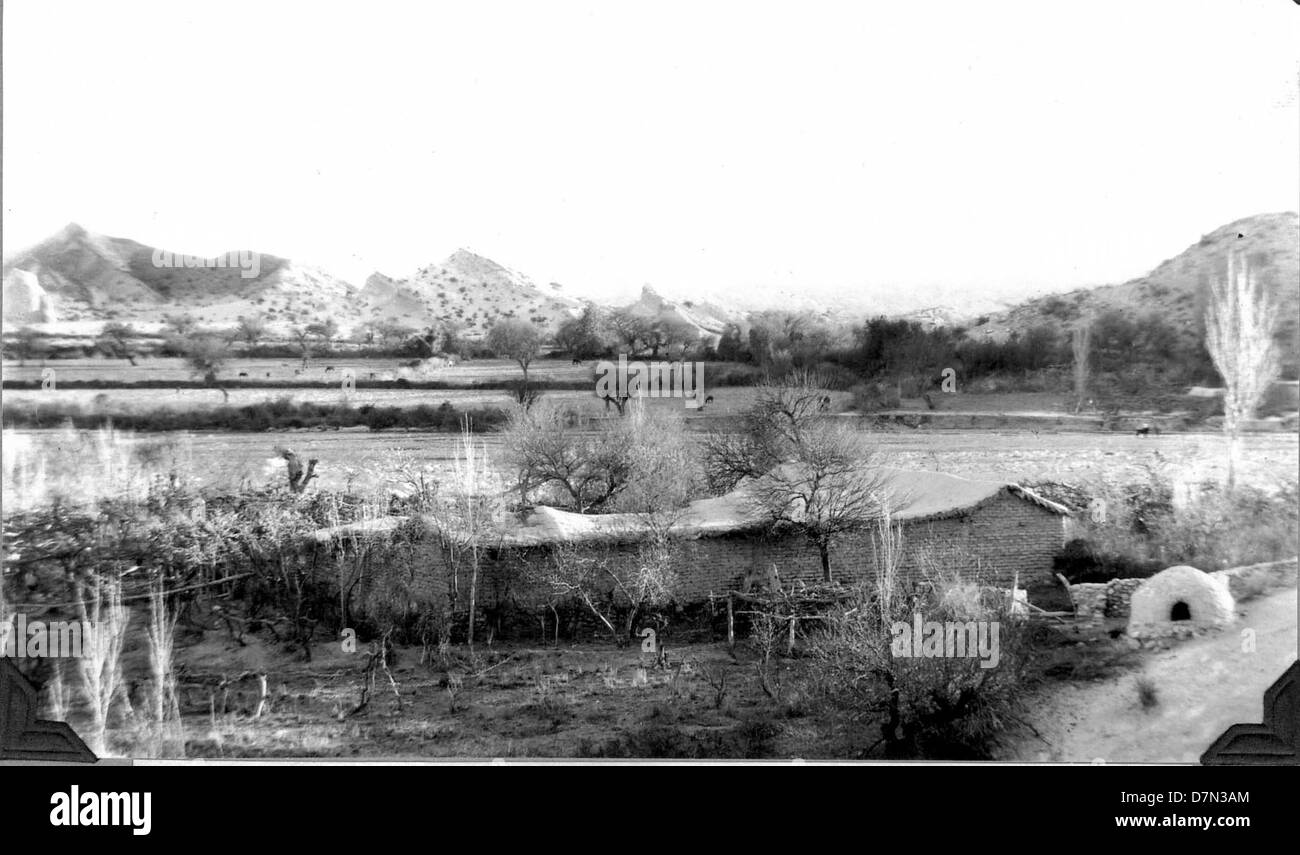 A scene from the Marshall Field Paleontological Expedition, showing the ...