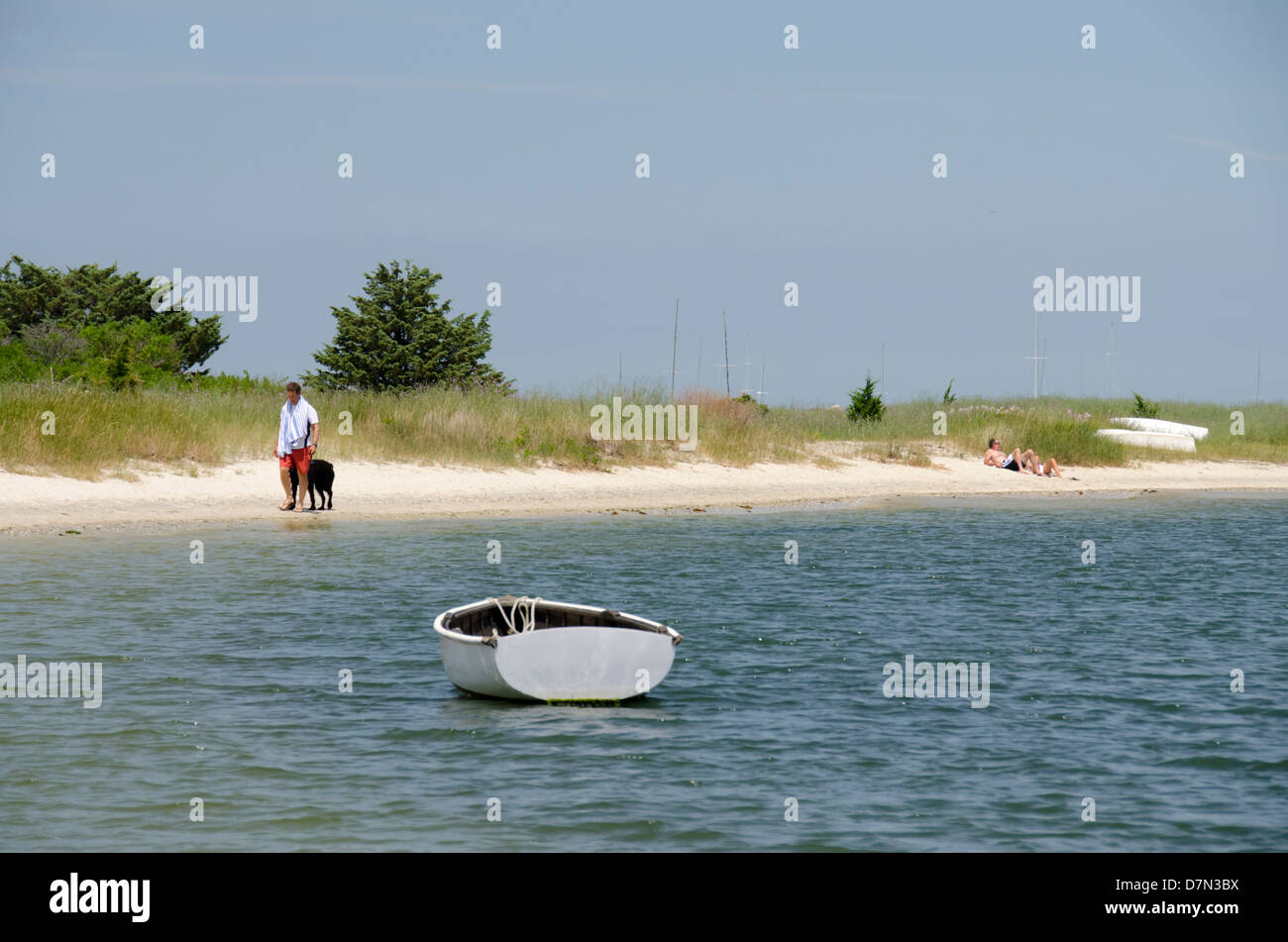Massachusetts, Martha's Vineyard, Vineyard Haven. Man walking his dog