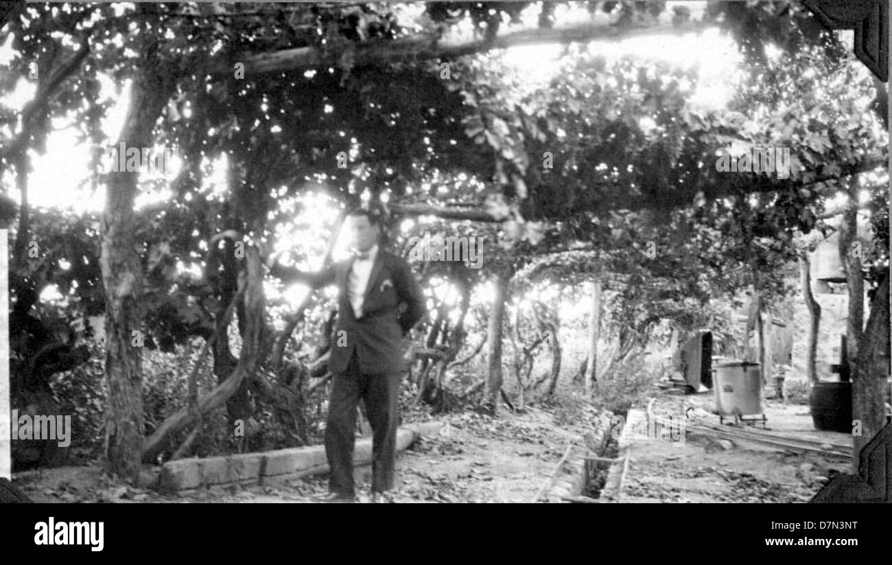 An image showing fossil collectors Harold Blaine, Elmer Riggs, and ...