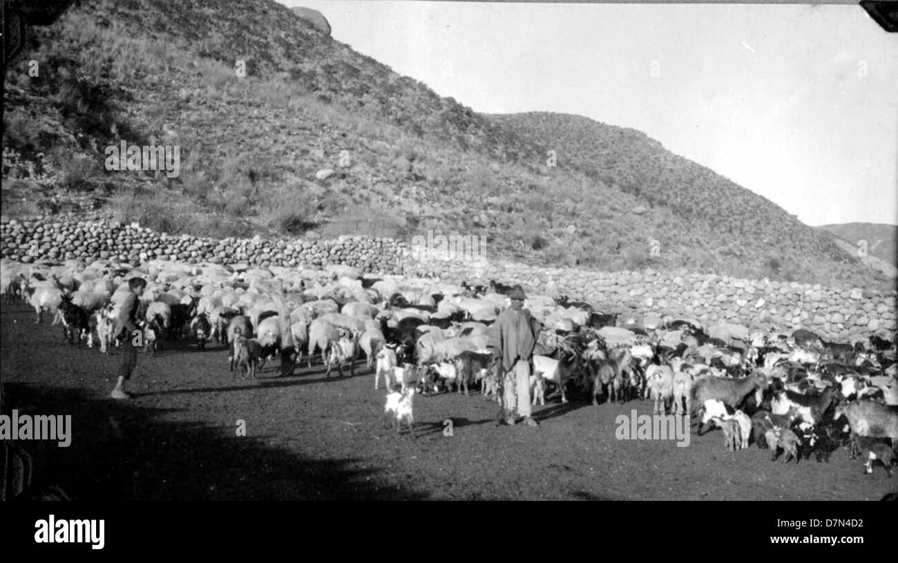 Elmer Riggs, Felipe Mendez, and others are shown collecting fossils ...