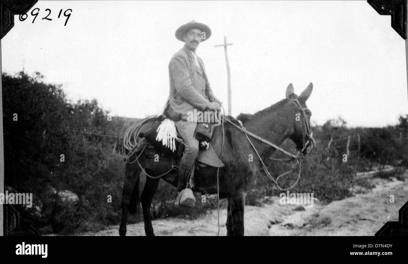 A photo of the chief guide riding a donkey, leading the fossil ...