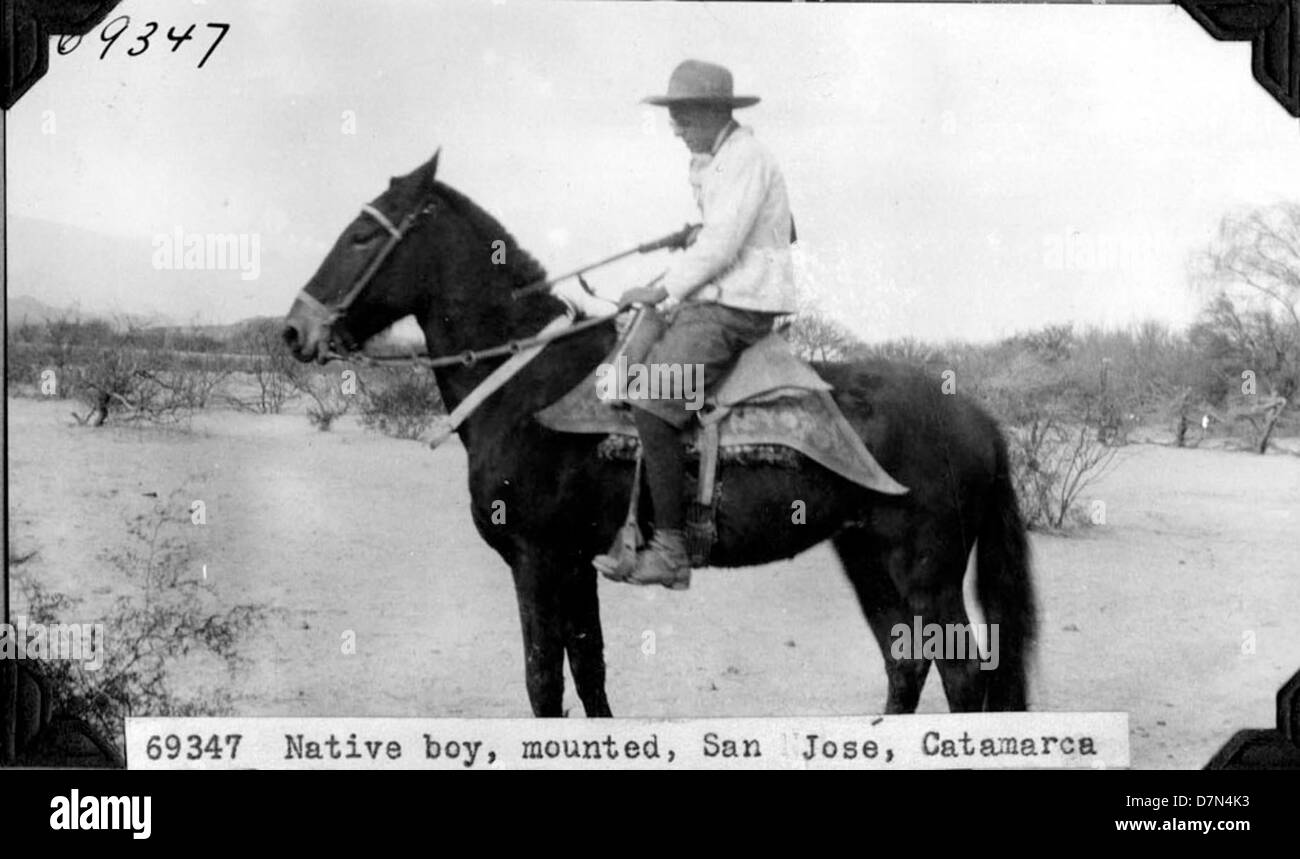 A boy on horseback is shown collecting fossils as part of the Elmer ...