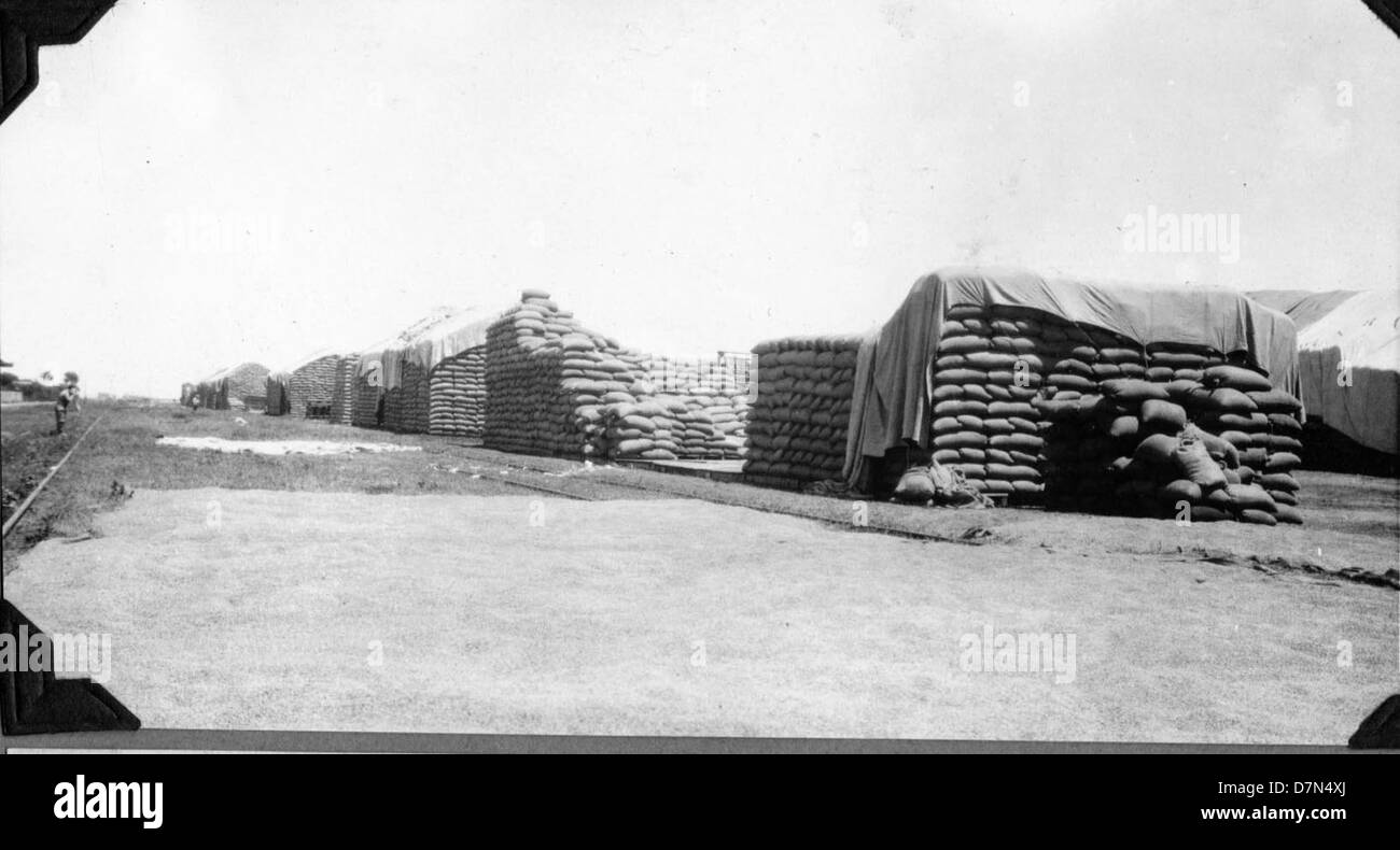 This photograph documents the paleontological expedition of Elmer Riggs ...