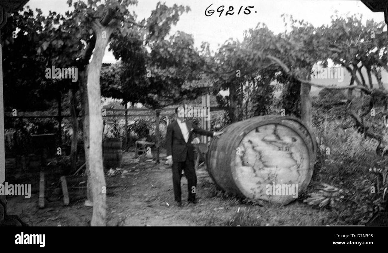 Harold Blaine, part of the Marshall Field Paleontological Expedition ...