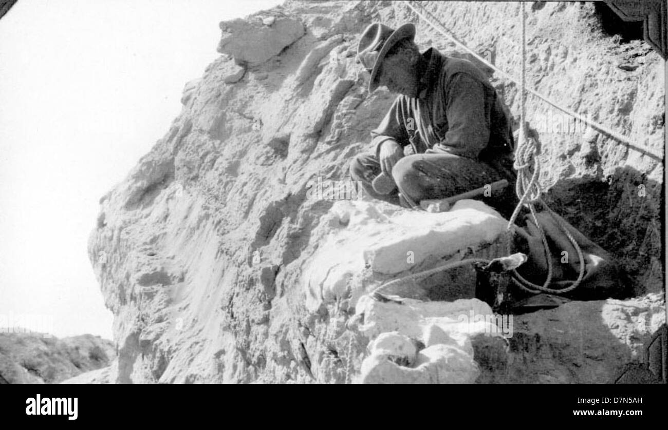 Robert Thorne and team members Elmer Riggs and Felipe Mendez collecting ...