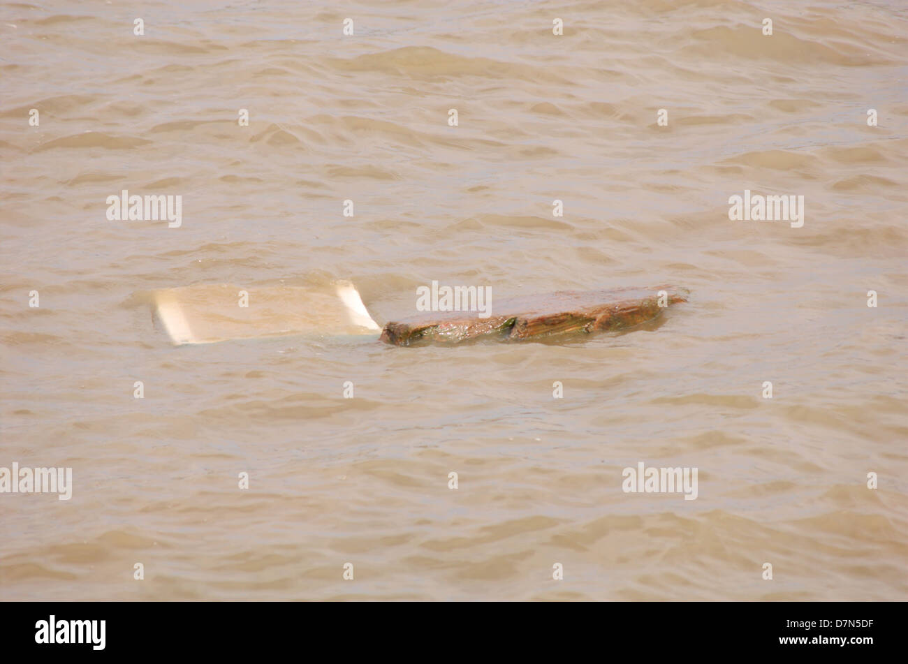 Debris floating on the Thames in London, England Stock Photo