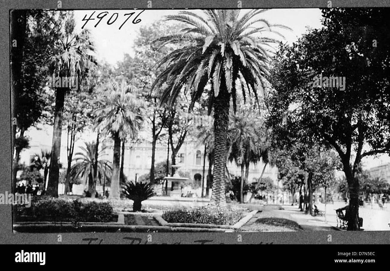 An expedition for vertebrate paleontology led by C. Harold Riggs, Elmer ...