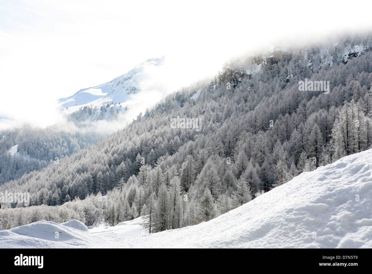Alpsalpes hi-res stock photography and images - Alamy