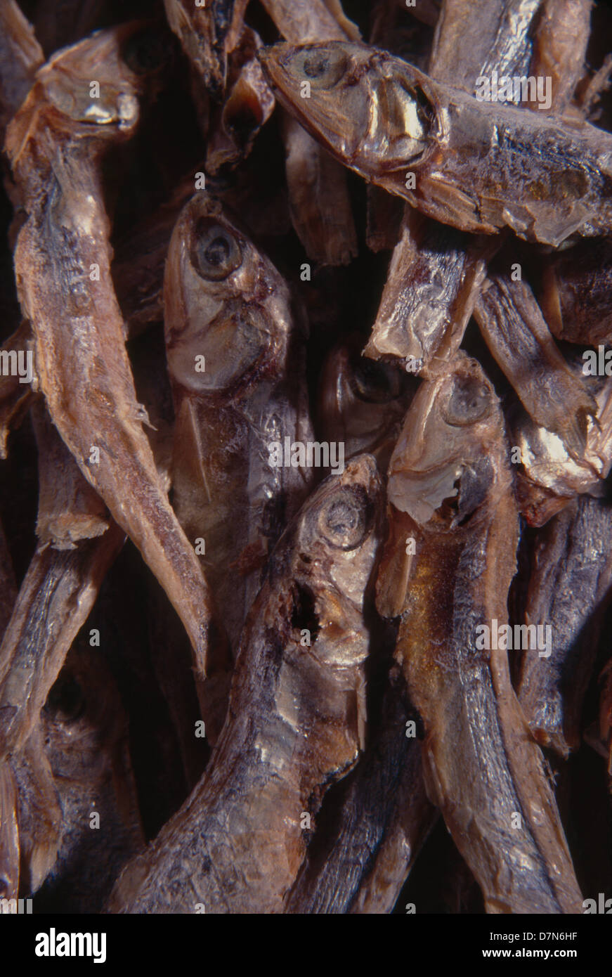 Close-up of dried smelts (Osmeridae), ©mak. Stock Photo